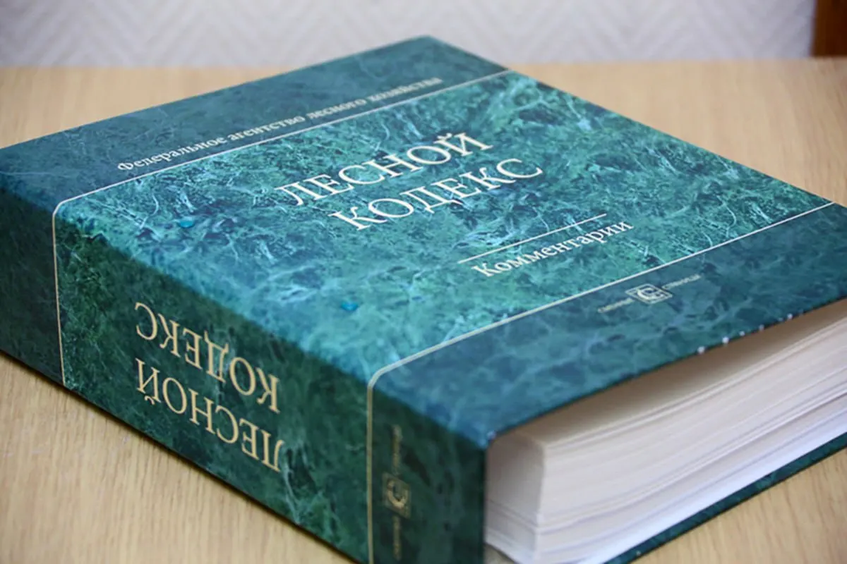 Лесной кодекс 2006 года претерпел десятки поправок; эксперт по лесному хозяйству считает, что документ следует упростить и полностью пересмотреть, чтобы снизить риски для бизнеса и специалистов.
