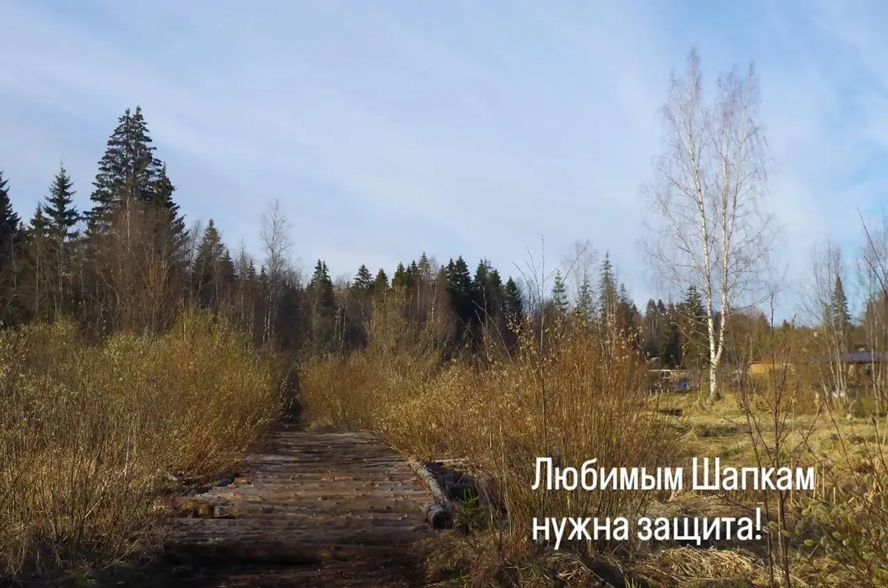 В Ленинградской области жители против разработки карьеров в уникальных моренных ландшафтах: опасаются за экосистему, воду и тишину поселка.