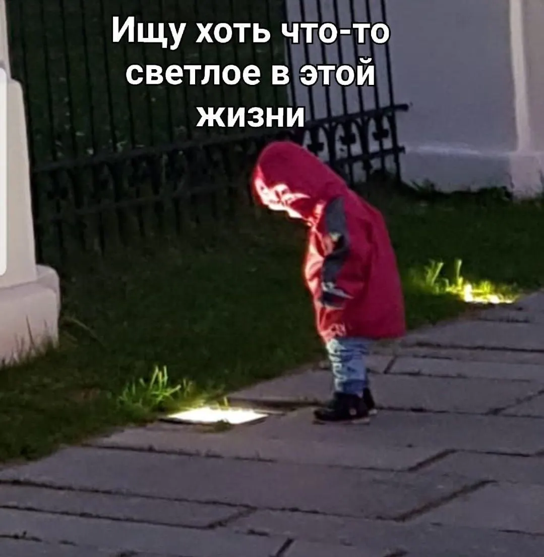 Депутаты отмечают участившиеся схемы с фальшивыми сайтами и предлагают создать единый информационный портал туризма для повышения безопасности путешествий.