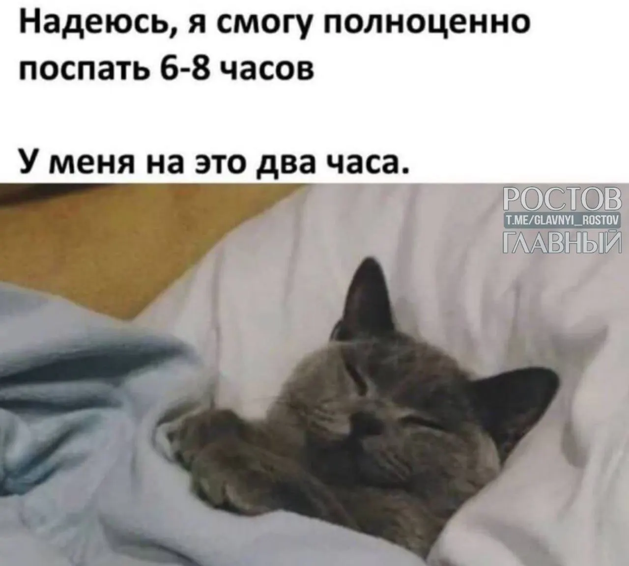 Популярные направления — Подмосковье, юг России, Ленинградская область, Кавминводы и Алтай. Туристы ищут удалённые отели и базы, чтобы полностью отключиться от внешнего мира.