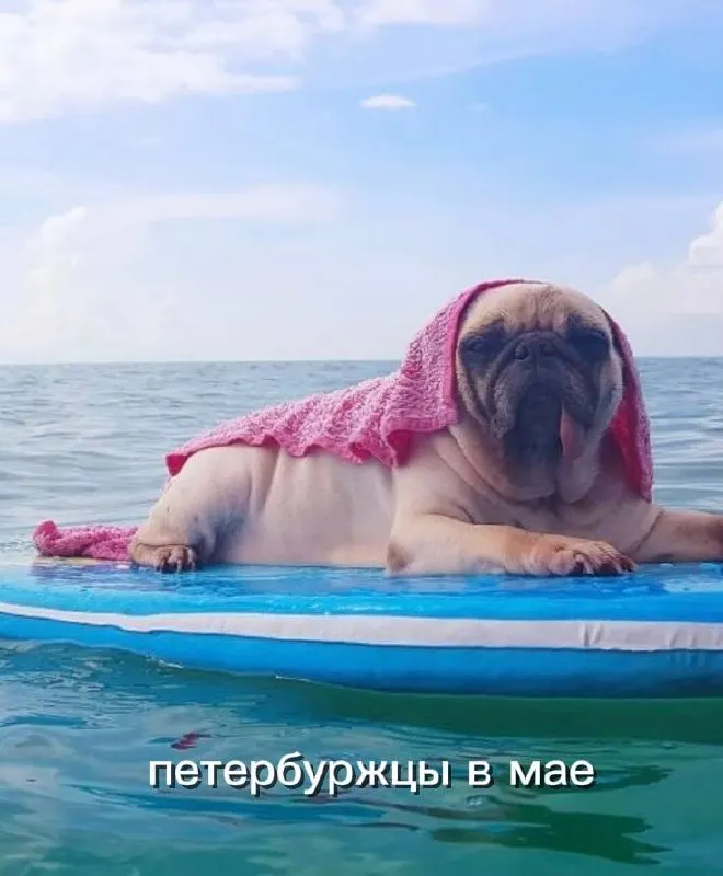 Синоптики обещают на следующей неделе тёплую погоду: самые тёплые дни — 19 и 20 мая. Для мая это не рекорд: в 2014 году было +33 °C.