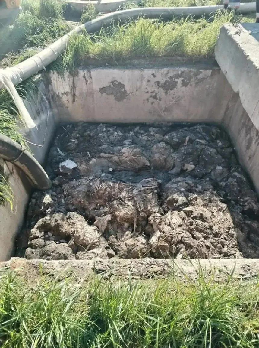 Арбитраж удовлетворил иски водоканала: абоненты признаны нарушившими правила сброса и должны компенсировать расходы на ремонт, очистку сетей и судебные издержки.