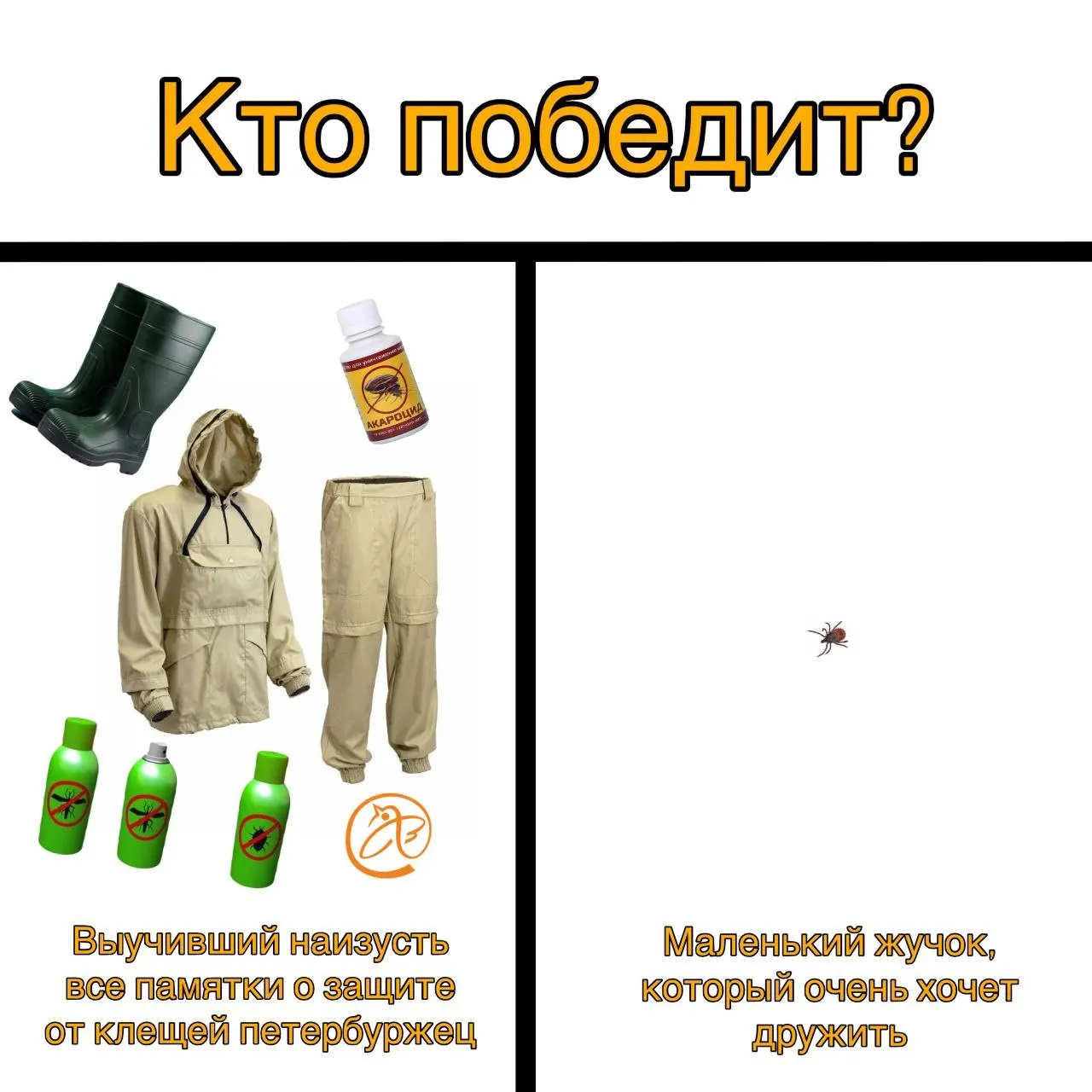 За семь дней более 1,5 тысячи жителей Санкт‑Петербурга и Ленинградской области пострадали от укусов клещей, среди них почти 400 детей. Зарегистрировано четыре случая боррелиоза, случаев энцефалита нет.