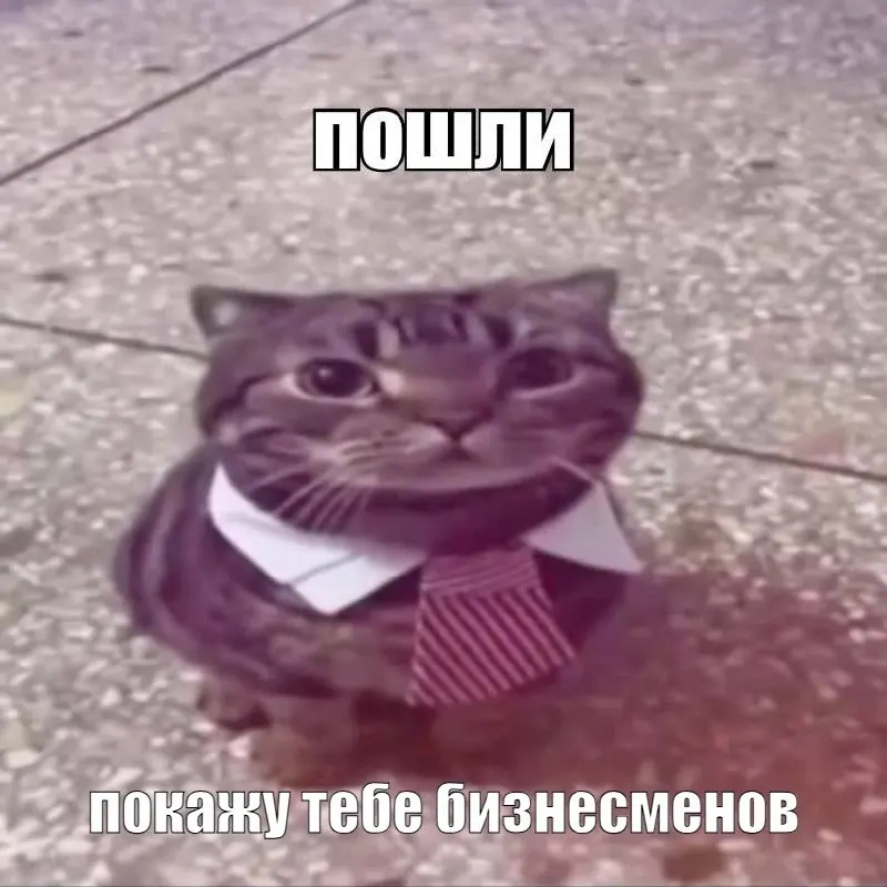 Участникам Петербургского международного экономического форума предлагают услугу персонального сопровождения за 150 000 рублей в сутки: координатор и консультант помогут с графиком, встречами, пресс‑подходами и доступом к закрытым мероприятиям.
