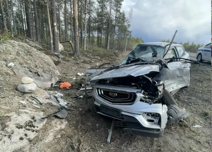 На 714 км трассы Р-21 в Сегежском округе Geely Atlas съехала в кювет и врезалась в дерево — пострадали 33-летняя водитель и двое детей, все — из Санкт-Петербурга.