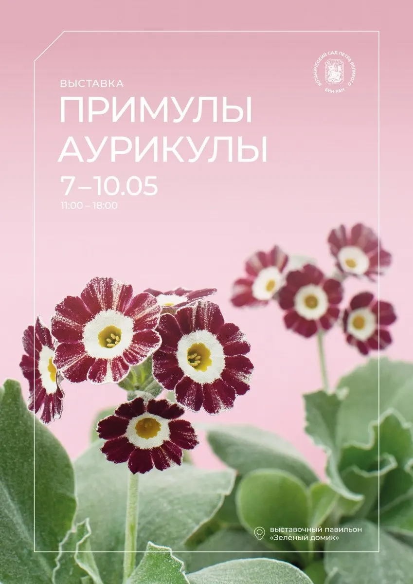 Ботанический сад проводит выставку «Примулы аурикулы» до 10 мая. По выходным 16–17 и 23–24 мая на Елагином острове пройдет XIV Фестиваль тюльпанов с ярмаркой, выставками и шоу.