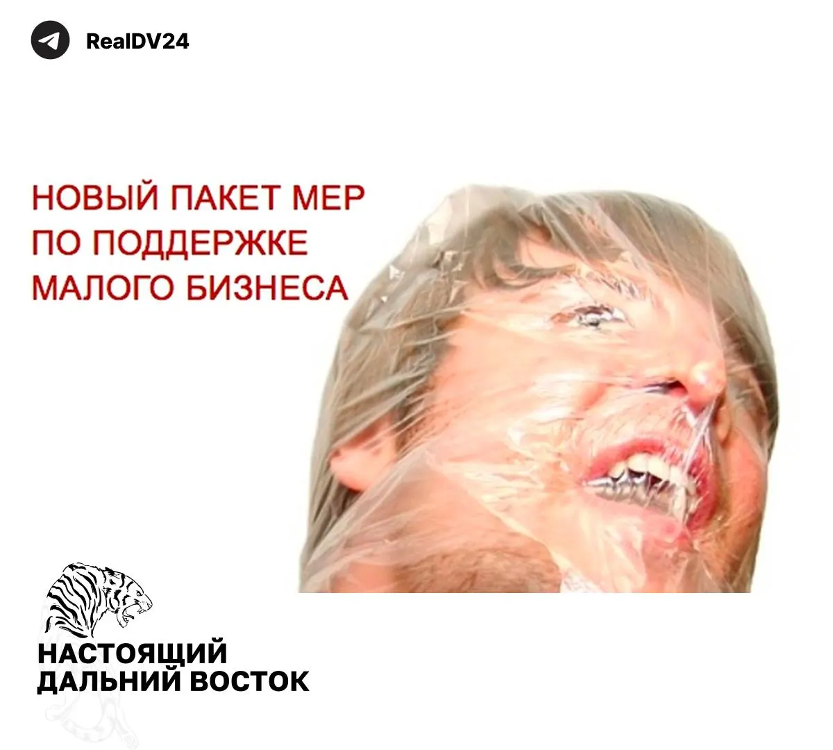 Федеральная налоговая служба направила регионам рекомендации по росту налоговых поступлений — от расширения налогооблагаемой недвижимости до повышения транспортного и земельного налогов.