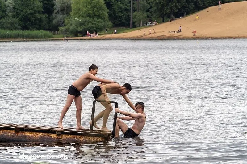 В Выборгском и Красносельском районах проверили качество воды — на трёх пляжах официально можно купаться. Всего в регионе отмечено восемь безопасных водоёмов.
