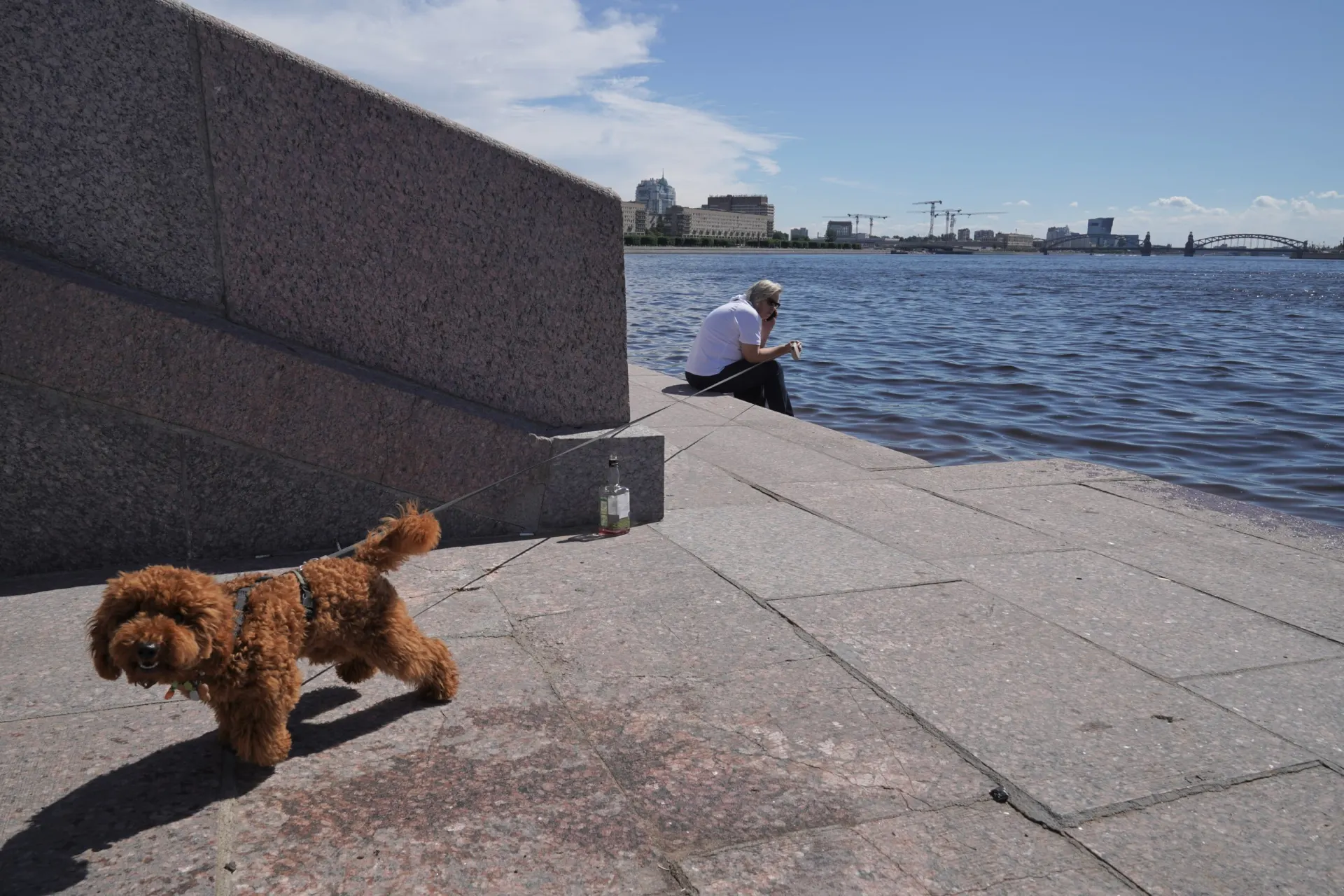 Сегодня в Петербурге потеплело до +20…+22 °C, жители вышли на прогулки и отдыхают под солнцем.