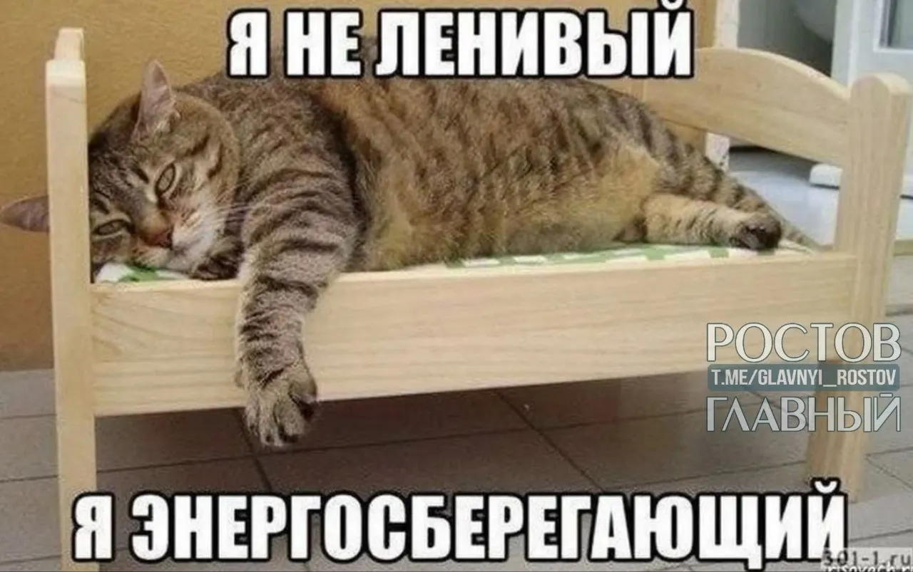 Опрос показал, что в Нижнем Новгороде, Перми и Воронеже чаще всего хотят сократить рабочий день до шести часов; петербуржцы чаще говорят, что вовсе не хотят работать, а трудоголики концентрируются в Краснодаре и Ростове‑на‑Дону.