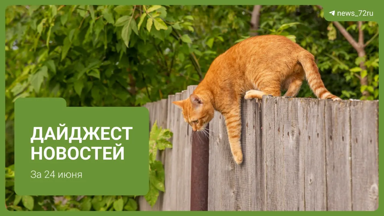 Краткий обзор: дресс‑код для водителей, рост цен на топливо и контроль ФАС в Тюмени, планы по трассе М‑12, погодный прогноз с затяжными дождями и другие заметные события.