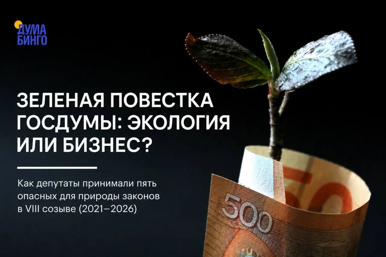 Анализ законодательной активности показывает: за последние пять лет депутаты поддерживали инициативы, которые ограничивают общественный контроль, упрощают хозяйственное использование заповедных территорий и снимают часть федеральной защиты для редких видов.