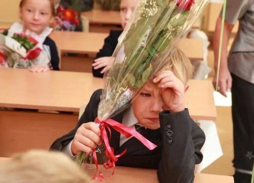 Заместитель министра просвещения заявил, что 11 лет — оптимальный срок обучения и сейчас нет планов ни сокращать, ни увеличивать его; стандарты будут выстраиваться с учётом 11 классов.