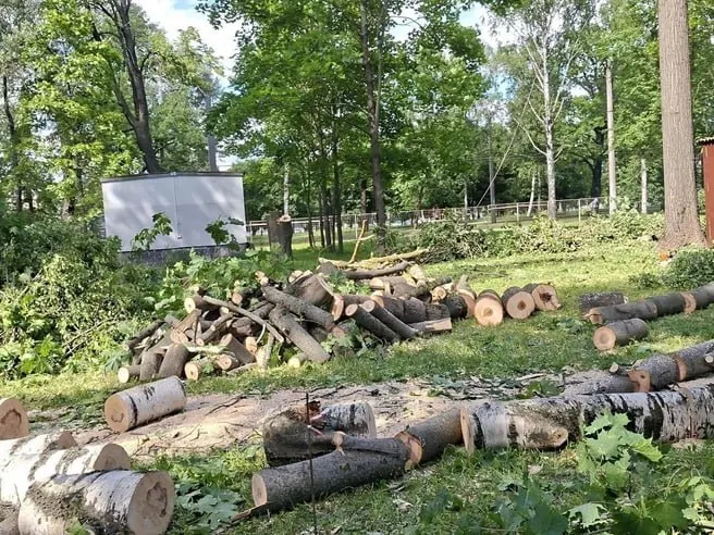 В сквере рядом с дацаном срубили 46 кустарников и 48 стволов (вязы, яблони, клёны, берёзы, липы, черёмухи). Планируют установить памятник пограничникам, проложить аллею с скамейками и светильниками, а также высадить 64 дерева и 1 306 кустарников. Работы оценили в 142,4 млн руб., завершить планируют к Дню пограничника 2027 года.