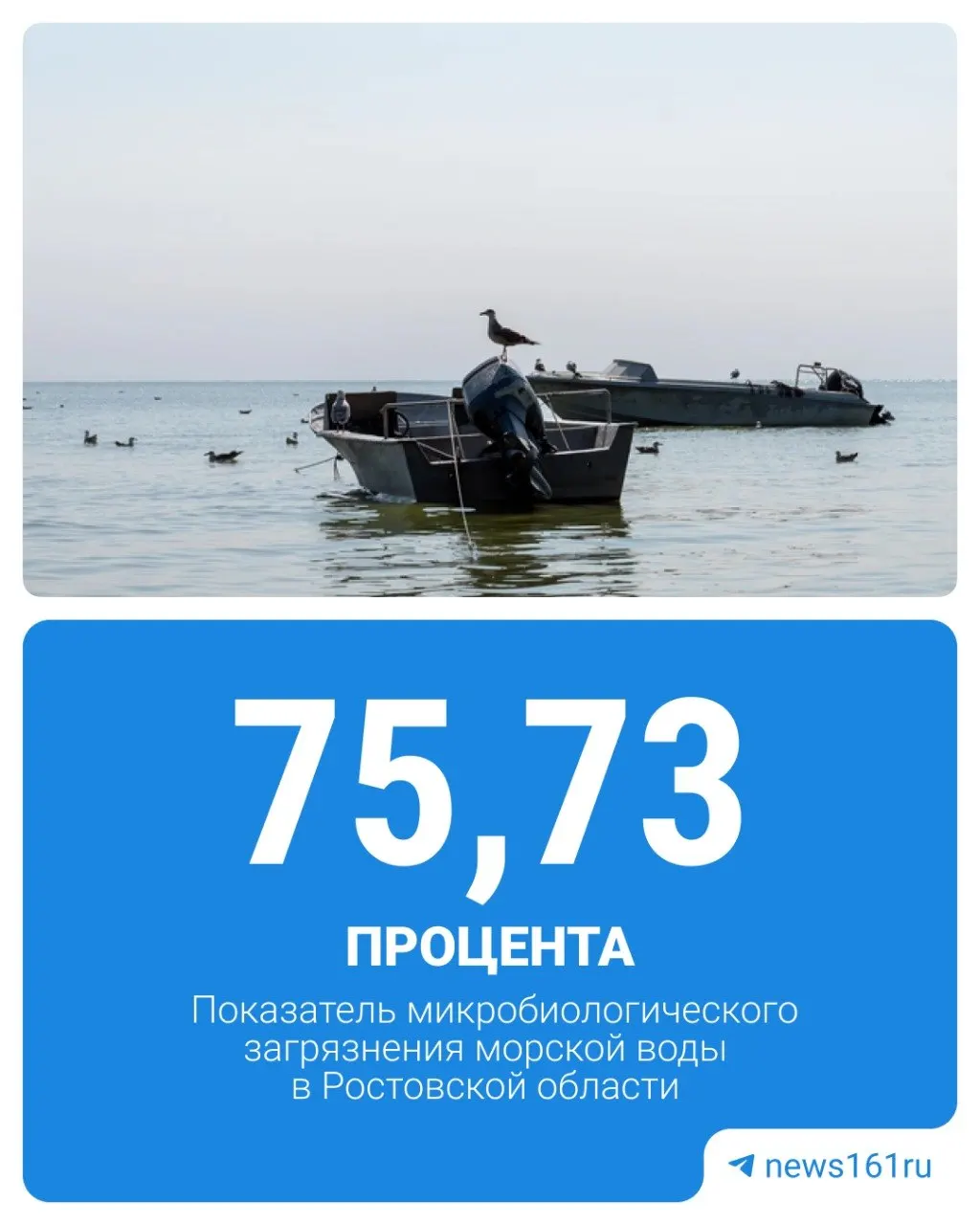 По данным Роспотребнадзора за 2025 год, на побережье Таганрогского залива 75,73% проб не соответствовали нормам — хуже показатели только в Санкт-Петербурге и Хабаровском крае.