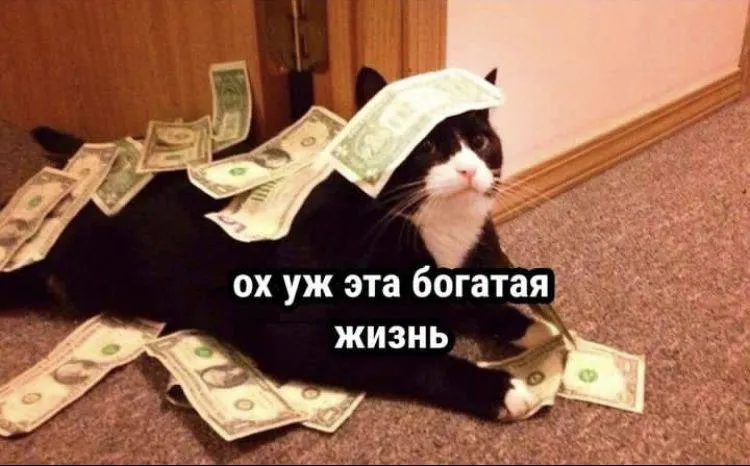 По данным Петростата, в апреле 2026 года средняя номинальная зарплата в Санкт‑Петербурге составила 128 509 рублей. Наибольшие доходы в добыче полезных ископаемых и в транспортной отрасли, IT — на четвёртом месте.