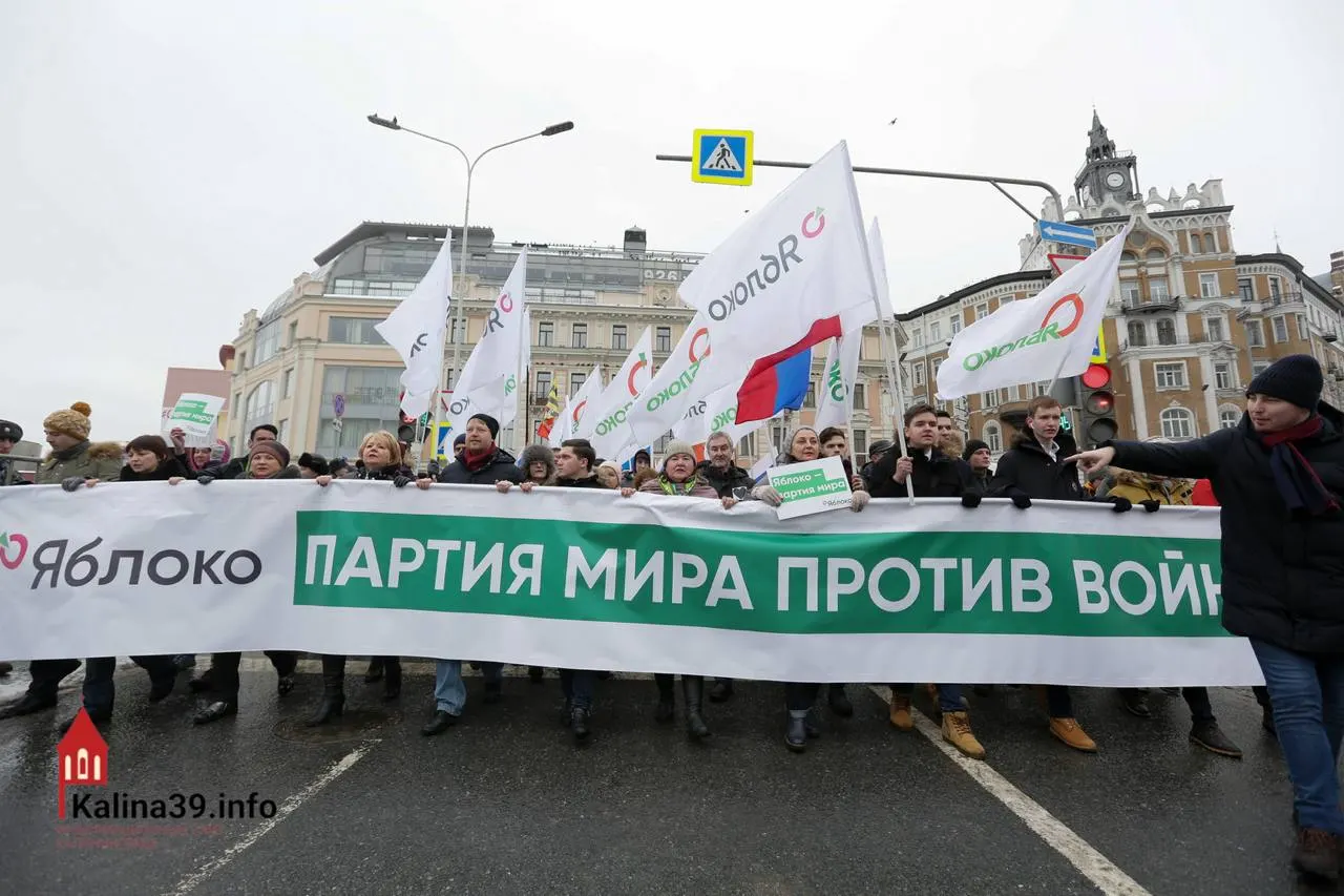 После регистрации федерального списка эксперты и собеседники указывают, что разрешение «Яблоку» может быть способом направить протестный электорат в контролируемое русло, тогда как многие известные кандидаты партии были заранее отстранены.
