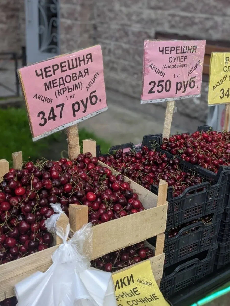 За сезон килограмм черешни в Петербурге подорожал около 20–22% по сравнению с прошлым годом. В июле цена варьируется в широком диапазоне: от примерно 280 рублей на окраинах до 1 300 рублей на некоторых рынках.