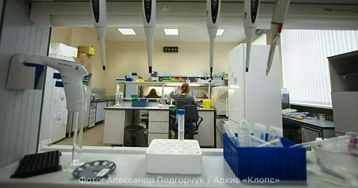 Исследователи предлагают использовать микроводоросли рода Scenedesmus для производства экологичного биодизеля — технология не требует пахотных площадей и может стать альтернативой традиционным топливам.