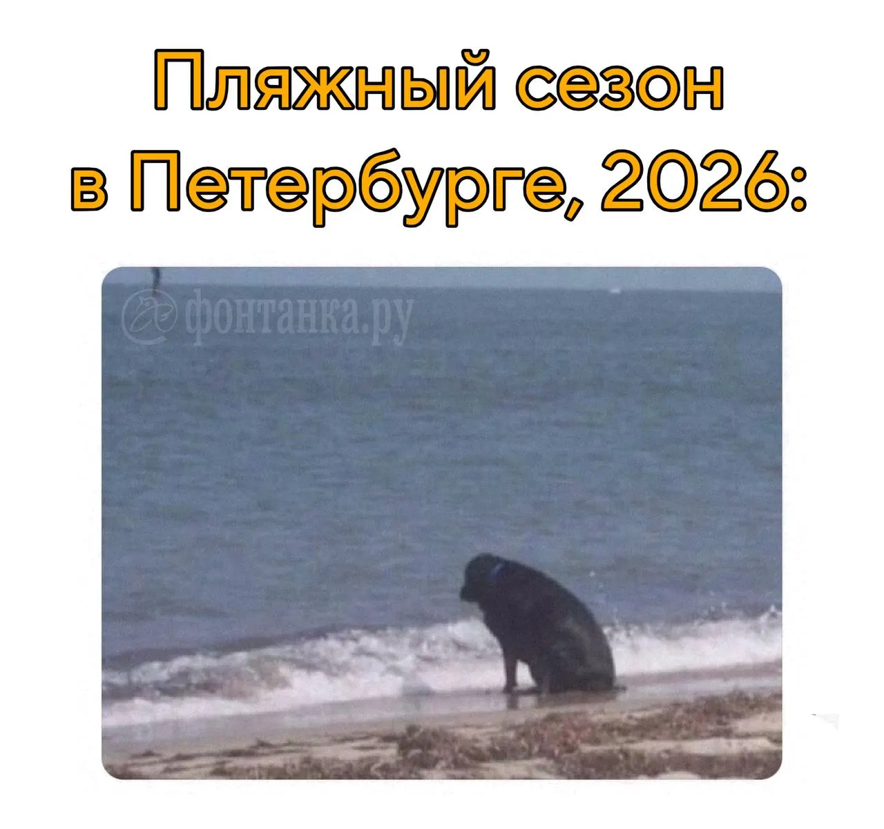 Проверки показали, что в Санкт‑Петербурге только Верхнее Суздальское и Безымянное озёра признаны безопасными; остальные 22 городских пляжа не прошли проверку. В Ленинградской области семь безопасных мест находятся в Приозерском районе.