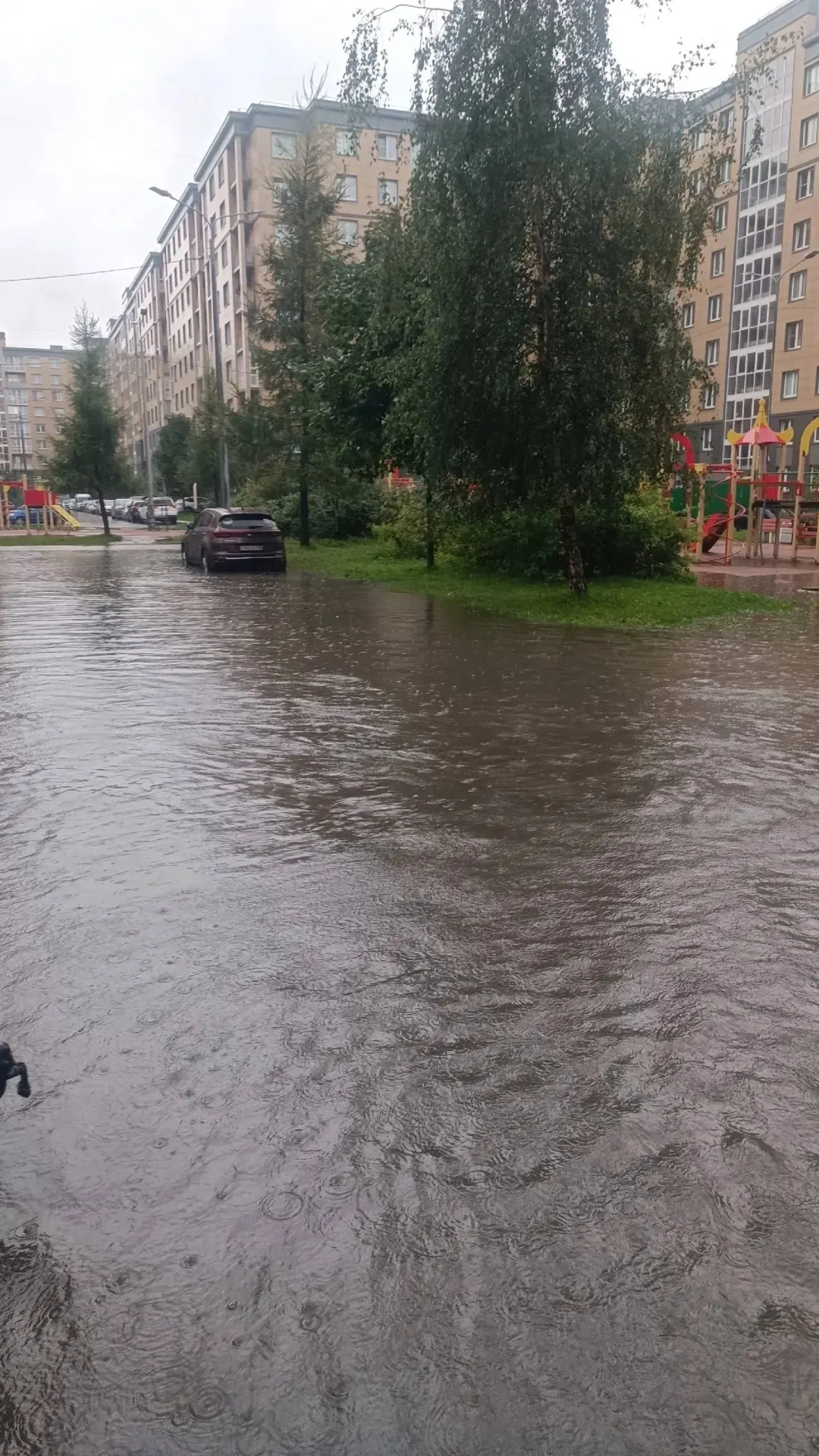 Сильные осадки в Колпинском и Пушкинском районах вызвали перегрузку канализации: насосная станция откачала 43 тысячи кубометров стока, но этого оказалось недостаточно.