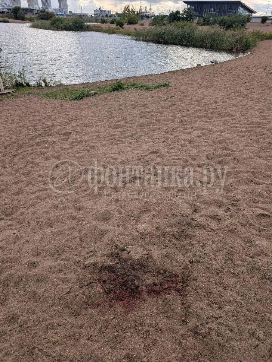 После завершения осмотра тело доставлено с места происшествия; отдыхающие возвращаются к водоему у Мичманской улицы, территория огорожена, но в заборе есть дырка.