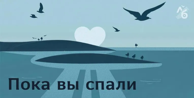 В Ленинградской области полиция прервала музыкальный фестиваль; власти разрешили ветеранам СВО управлять транспортом; и другие заметные события в регионе и по России.