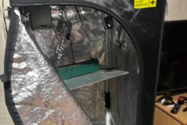 В ходе обыска в Мурино обнаружено шесть килограммов марихуаны в стеклянных банках; расследование касается незаконного использования документов для регистрации юридического лица.