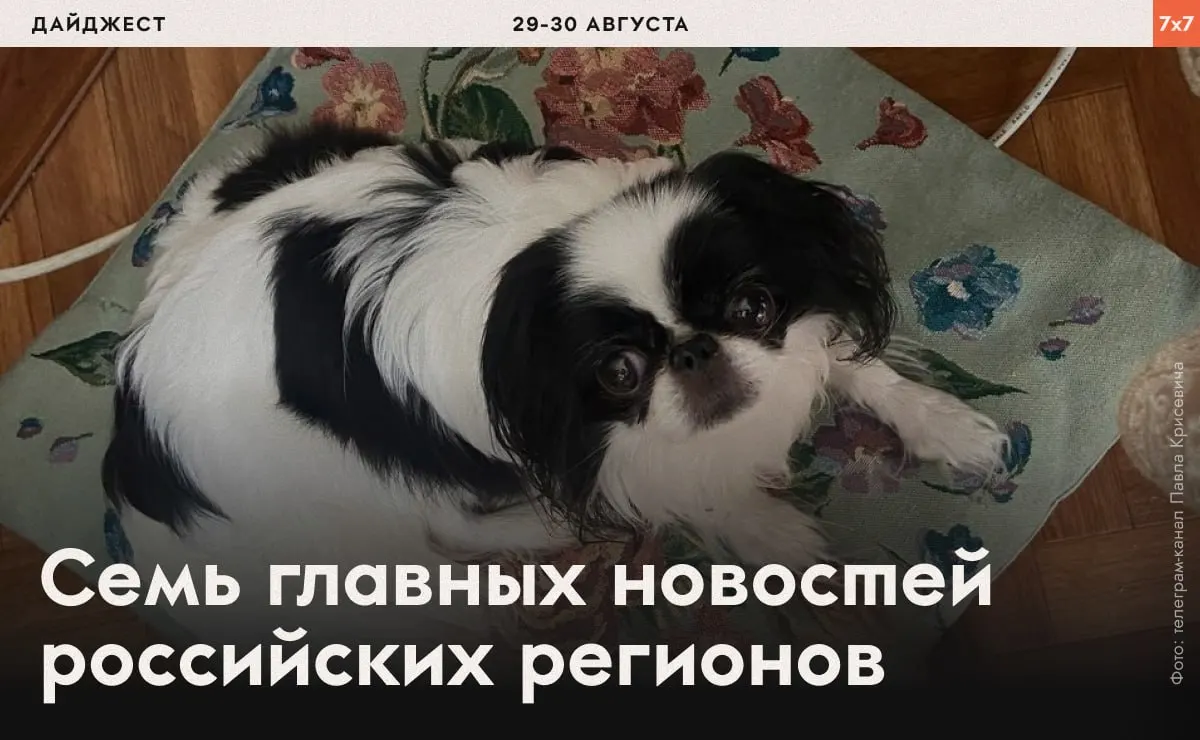 Дайджест по регионам: принуждения к участию, аресты и запреты на агитацию, а также споры вокруг благоустройства и природных ресурсов.