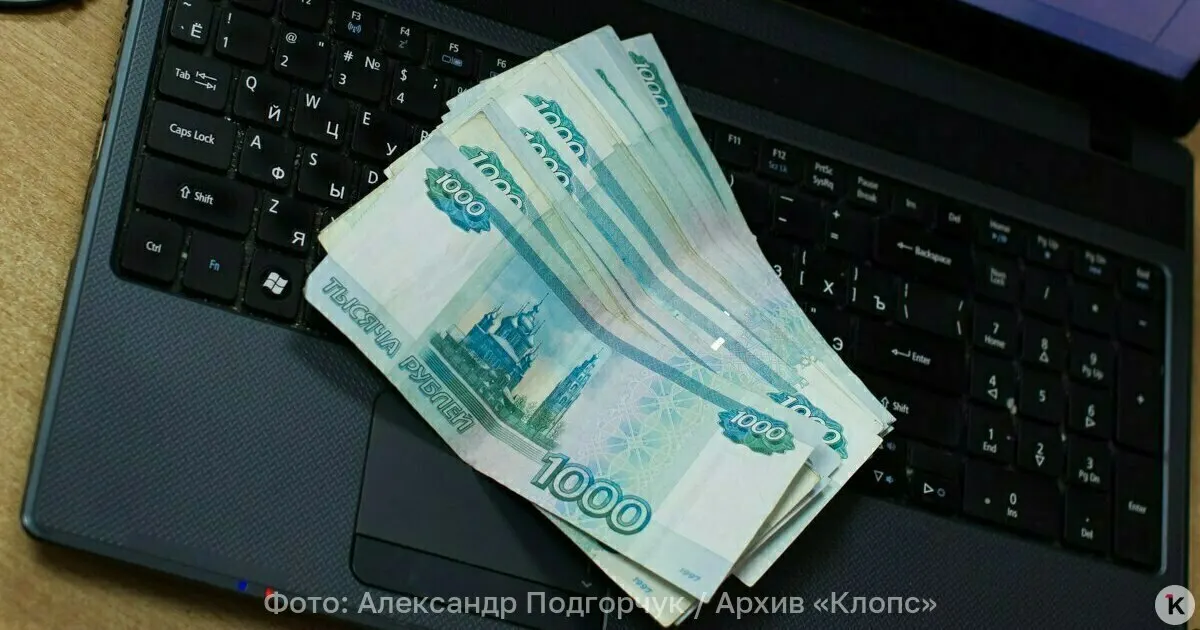 Рассматриваются долговечность, защита от подделок и экономия бюджета на перевыпуск банкнот.