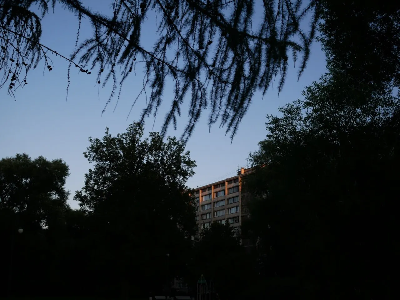 В Рязанской области задержана жена петербургского активиста; далее — ряд городских и региональных новостей.