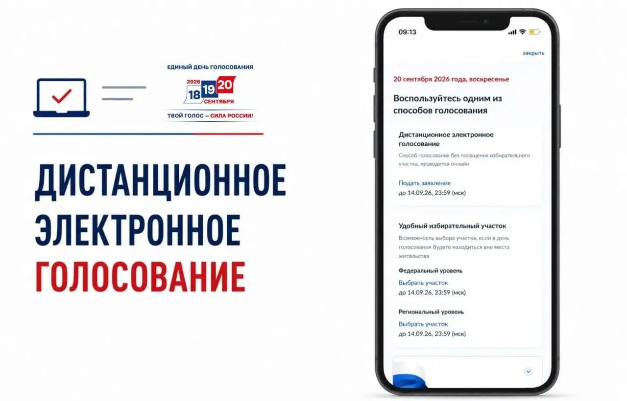 Критики указывают на возможную непрозрачность дистанционного голосования и риск манипуляций с результатами выборов.
