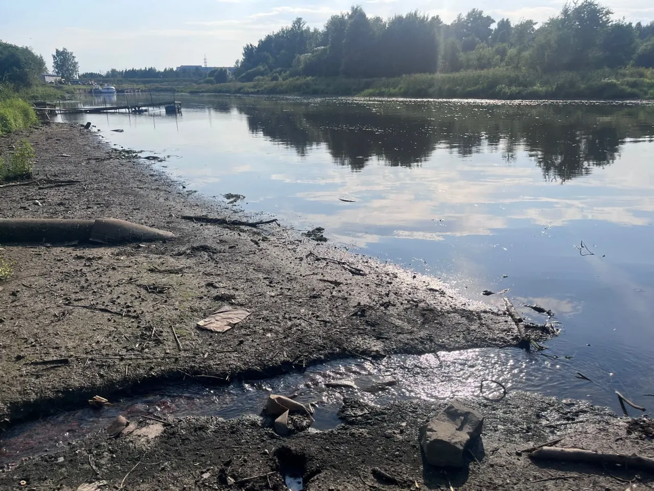 Во время рыбалки в устье Ижоры петербурженка обнаружила скопления канализационных стоков и мёртвую рыбу; подобные выбросы замечали и другие местные — возможны негативные экологические последствия.