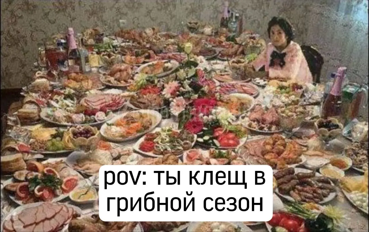 За неделю в регионе зарегистрировано 1292 укуса клещей, основная доля — Ленобласть; наибольшее число укусов в Курортном районе.