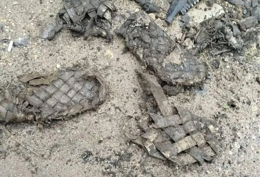 Лапти найдены под землей в деревне Чудцы Бокситогорского района Ленинградской области во время ремонтных работ на сетях; рядом обнаружены фрагменты мощёной дороги, крупный валун и обработанное бревно. Найденное передано в местный краеведческий музей.