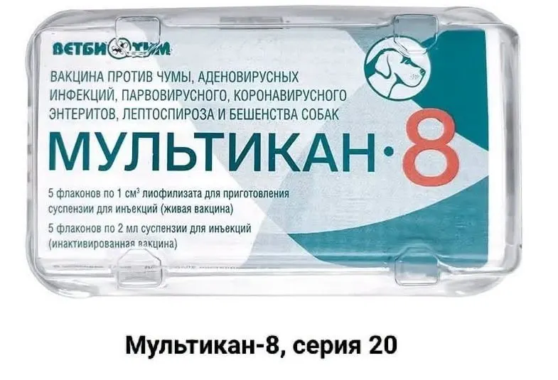 Семьи погибших от вакцины собак требуют прозрачного расследования после гибели животных после вакцинации; зафиксированы случаи в нескольких регионах, включая Ленинградскую область. Обсуждаются возможные причины трагедии.