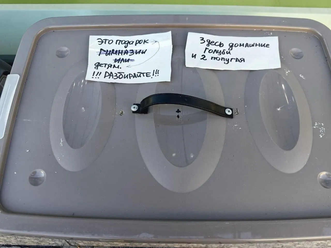 Неизвестный оставил в торговом центре пакет с птицами: девять голубей и два волнистых попугая; выжили лишь две голуби. В полиции начинается проверка.