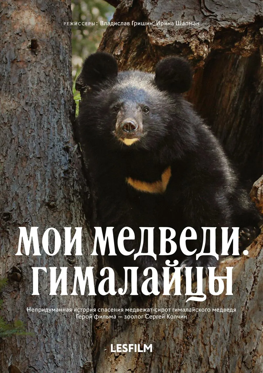 Международный фестиваль экологического документального кино пройдет с 8 октября; в программе — картины из Германии, Швейцарии, Австралии и России; главная тема — взаимосвязи в современном мире.