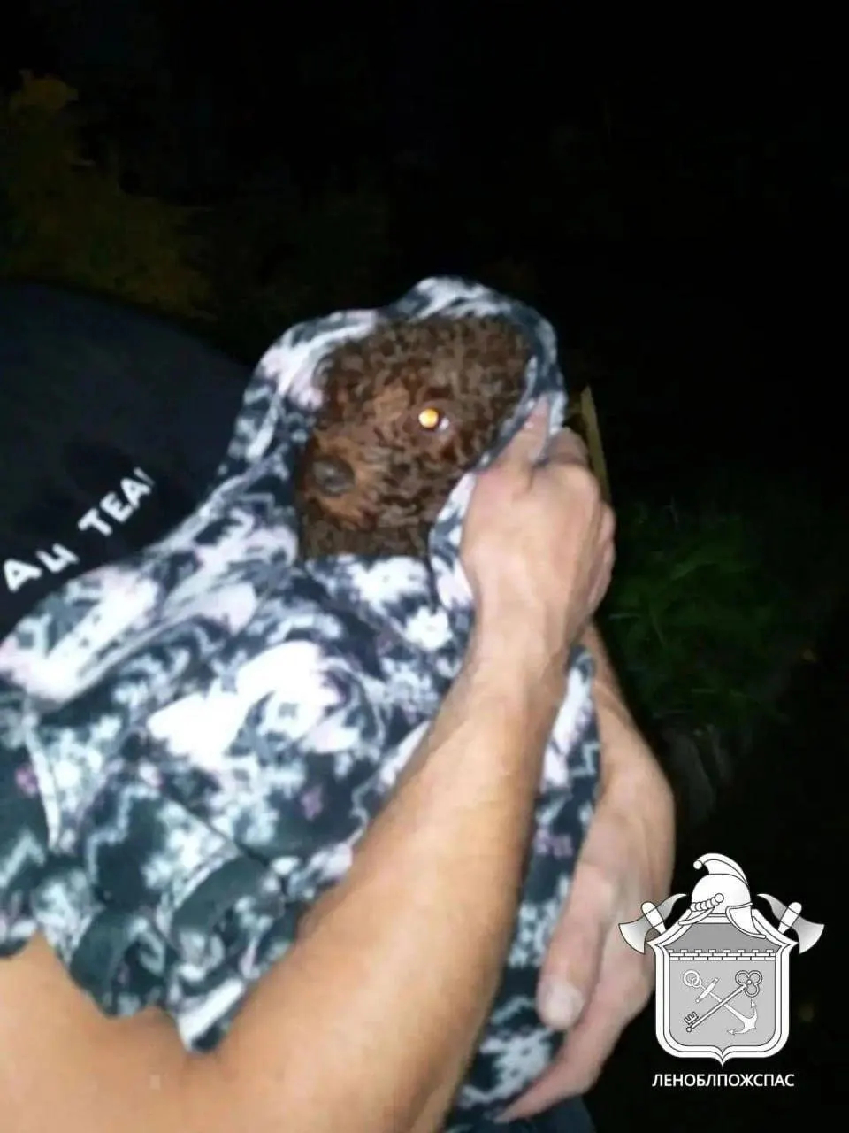 В пожаре в деревне Пудомяги спасли кошку, собаку и их хозяйку; 12-летняя девочка выбежала из горящего помещения, женщина осталась внутри и была госпитализирована. Пожар потушен, пожарные улегли угрозу.