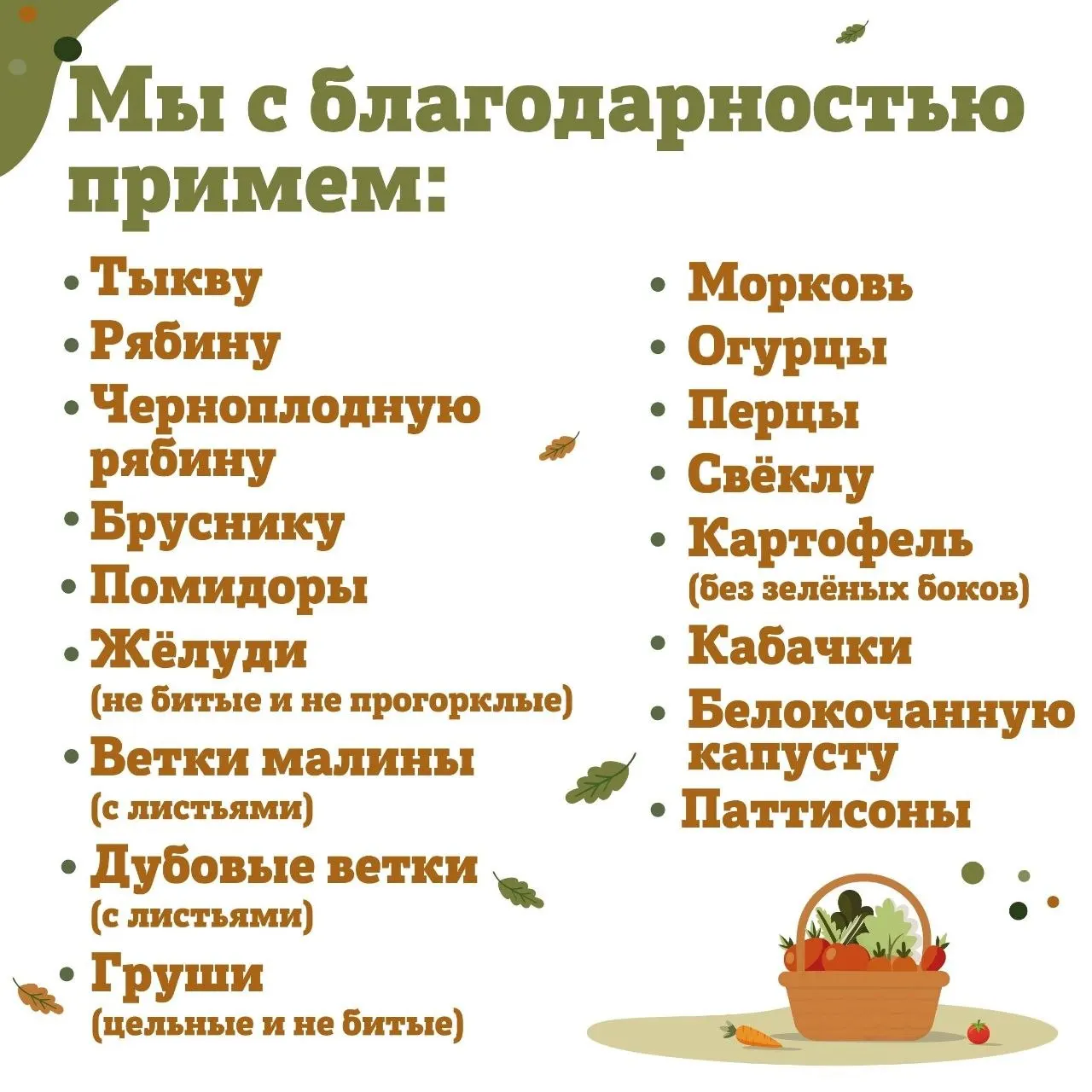Зоопарк просит принести желуди для питания животных в рамках осенней акции «Дары осени».