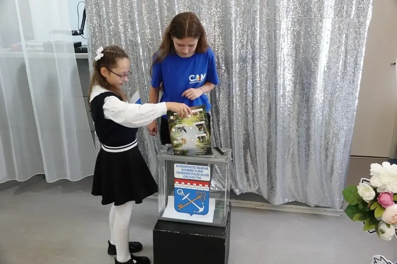 Учебная акция в школах региона дала детям первый опыт участия в гражданском процессе и демонстрирует творческие форматы кампаний.