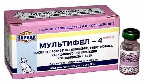 После вакцинации вакцин «Ветбиохима» и «Мультифел» зафиксированы тяжелые реакции у кошек и гибель собак; сообщения поступают из разных регионов.