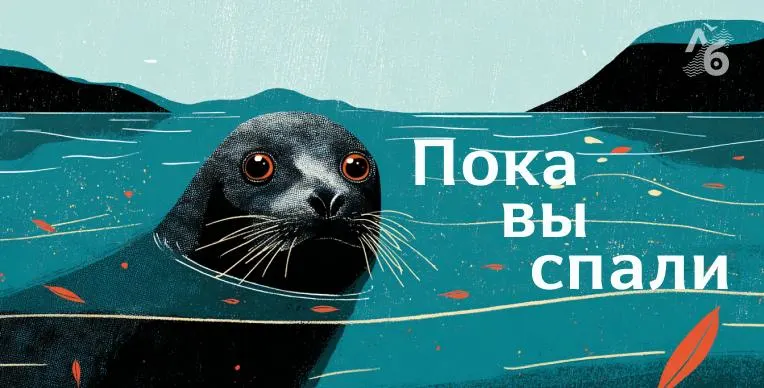Дайджест главных событий по России: политические решения, сообщения о преступлениях, экономические изменения и новые регуляторные инициативы.