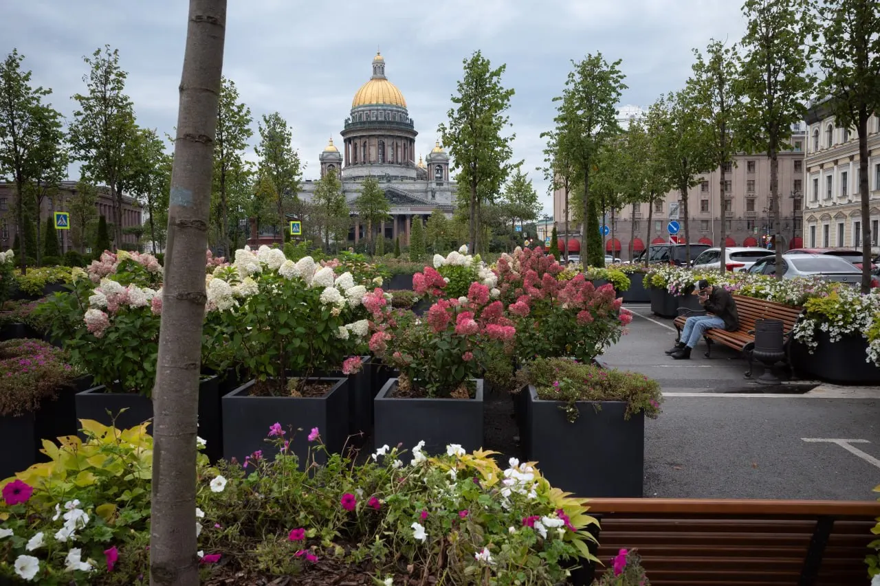 События в Петербурге: суд оставляет кандидата в списках на выборы, компенсация за падение на эскалатор; умерла историк Татьяна Соловьёва. В России и мире — новые публикации, проверки после атак БПЛА, задержания и освещение закрытия Гёте-института.