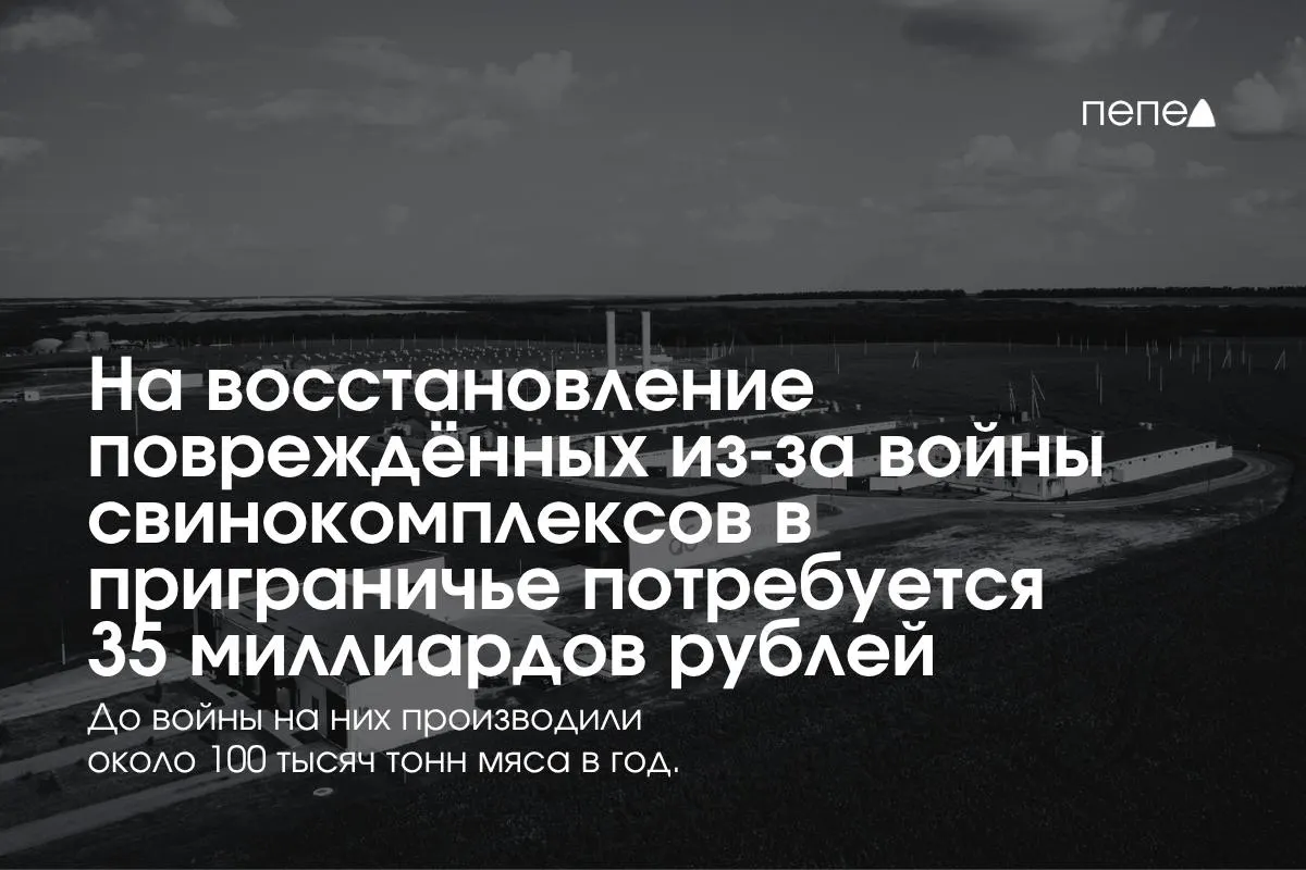 Стоимость восстановления свинокомплексов в приграничье оценивается в 35 млрд рублей.