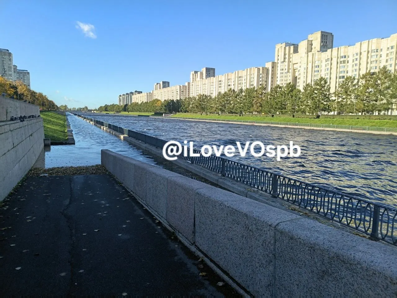 Сильный ветер повалил заборы и деревья, зафиксированы затопления и травма у девушки после падения конструкции.
