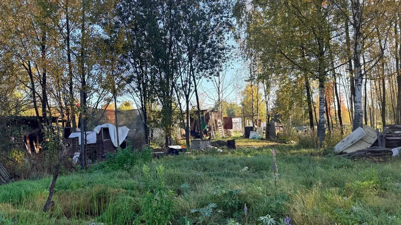 Освобождение огородников in Московском районе связано с реализацией кампуса Санкт-Петербургского университета МВД. Работы запланированы на конец октября.