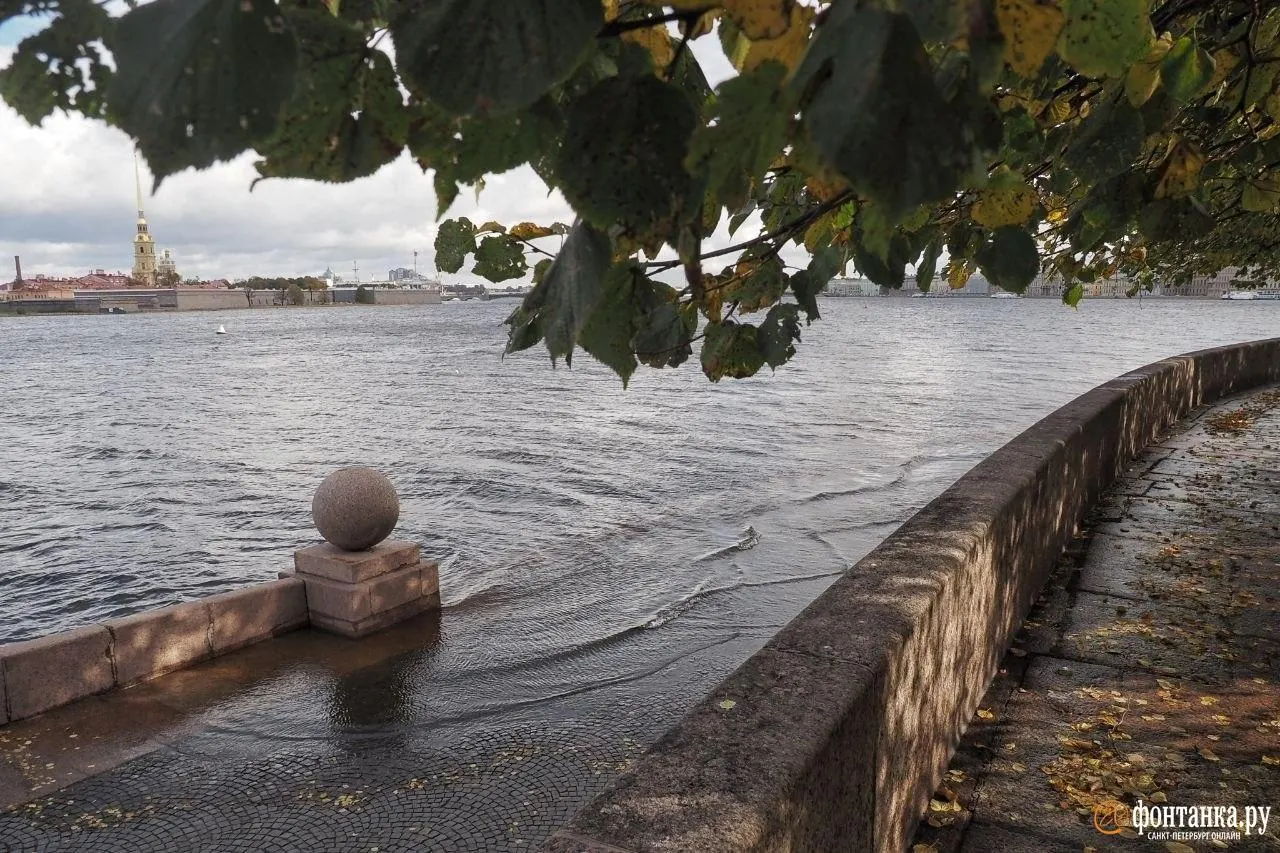 По данным SPBWater к 9:00 уровень достиг 102 см, к 12:23 — 119 см. Причина — сильный западный ветер над Финским заливом.