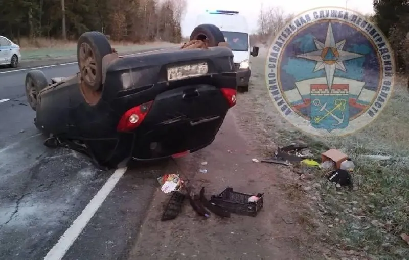 Лось внезапно выбежал на дорогу, двое пострадали; спасатели деблокировали пострадавших и отключили аккумуляторы в разбитых авто.