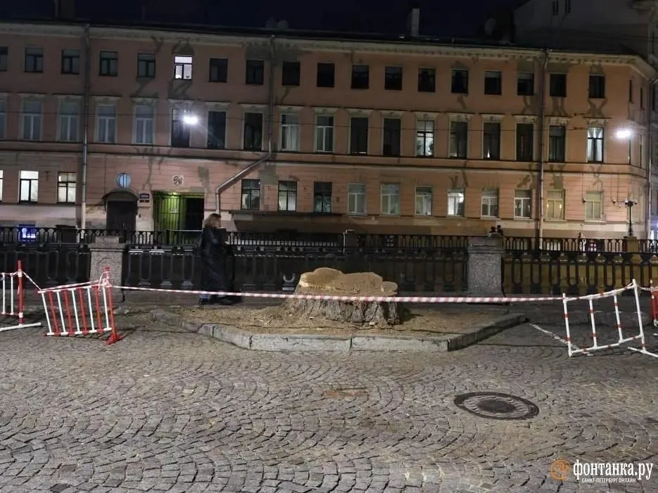 В центре города на набережной Грибоедова спилен длинный дуб; на его месте — пень и ограждение. Этот дерево было известно благодаря эпизоду в видеоигре Call of Duty: Modern Warfare, где оно фигурировало в миссии.